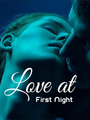 Love At First Night Novel Download/Read Online
