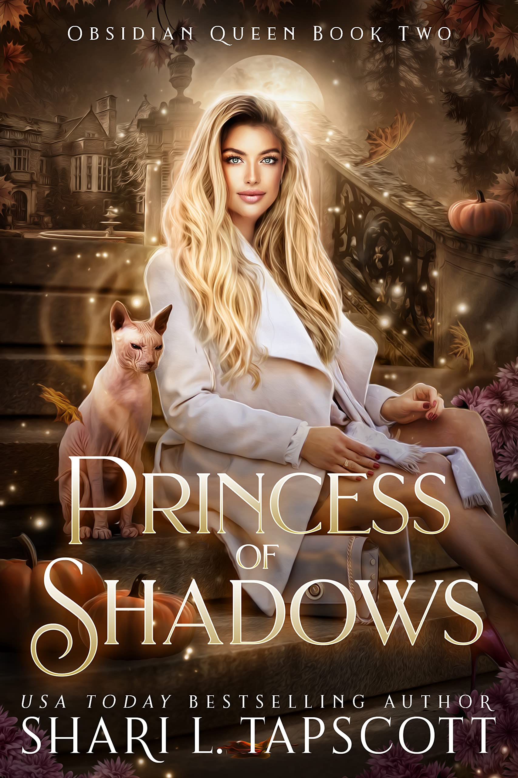 Princess Of Shadows (Obsidian Q – shari L. Tapscott)Novel – Read/Download PDF