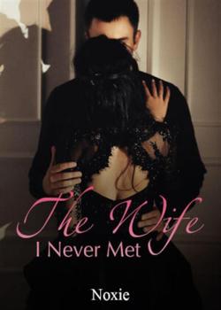 The Wife I Never Met Novel PDF Read/Download Online