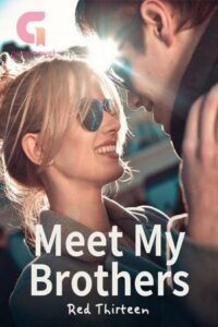 Meet My Brothers Novel PDF Read/Download Online