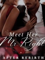 Meet Her Mr. Right after Rebirth Novel PDF Read/Download Online