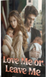 Love Me Or Leave Me Novel PDF Read/Download Online