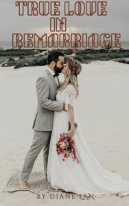 True Love in Remarriage Novel PDF Read/Download Online